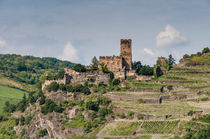 Gutenfels bei Kaub 26 von Erhard Hess