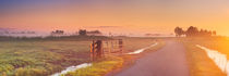 Dutch landscape on a foggy morning by Sara Winter