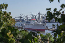 Die Cap San Diego im Hamburger Hafen von ta-views