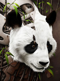 Wild 2 - The Panda by Benjamin FRIESS