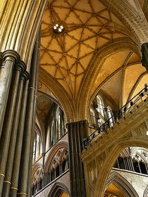 Salisbury Cathedral von dip