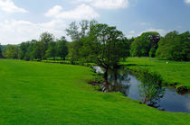 Riverside Meadows, Ashford-in-the-Water by Rod Johnson