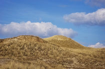 Dünenimpression Amrum by AD DESIGN Photo + PhotoArt