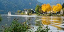 Herbst an der Mosel by gscheffbuch