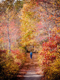 Autumn Stroll von Jim DeLillo