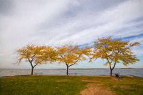 Fall Colors on Lake Erie von John Bailey