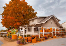 The Basket Shoppe von John Bailey