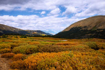 A Rocky Mountain High by John Bailey