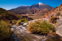 Teide Springtime von Raico Rosenberg