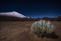 Teide at night von Raico Rosenberg