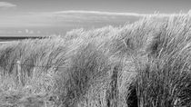 Nordsee-Galerie - Langeoog von Nicole Frischlich