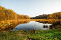 Dreamy lake by Mike Santis