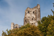 Ruine Drachenfels 08 von Erhard Hess