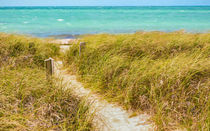 Pathway To Sandspur Beach von John Bailey