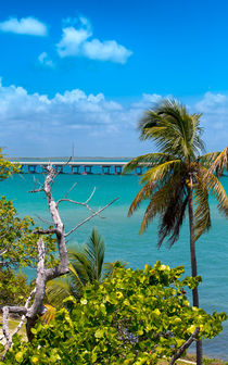 Bahia Honda Lookout by John Bailey