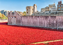 Poppies At The Tower von Graham Prentice