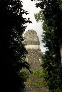 Temple in the Trees by John Mitchell