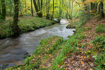  River Teign near Fingle Bridge von Pete Hemington