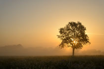 Herbstlicht von J.A. Fischer