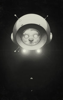 Space Kitty by Lukas Brezak