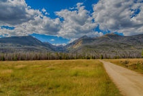 Golden Fields In The Rockies by John Bailey