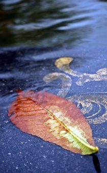 herbstliches Istanbul by loewenherz-artwork