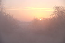 misty sunrise von mark severn
