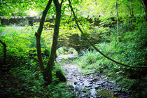 Alte Steinbrücke im Wald, stone brigde in the wood by Sabine Radtke