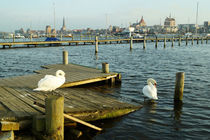 Rostock am Warnowufer II von Sabine Radtke