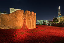 Tower of London Poppies by James Rowland
