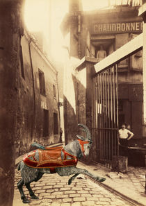 Goat on passage de la Reunion Paris Collage von Vincent Monozlay