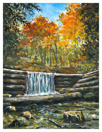 Iargo Springs in Fall von Robin (Rob) Pelton