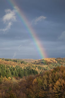  Rainbows End by David Tinsley
