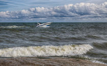 Speedboat On Lake Erie von John Bailey