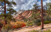 Color Competition At Zion National Park von John Bailey