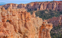 Black Birch Canyon Closeup von John Bailey