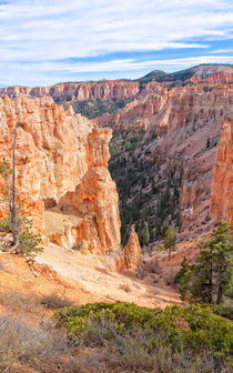 Canyon Within A Canyon von John Bailey