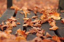 Dry Autumn Leaves von Banu Srini