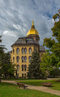 Golden Dome by John Bailey