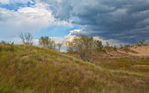 Indiana Dunes National Lakeshore von John Bailey