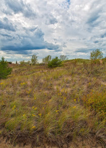 Where The Dunes Meet The Sky by John Bailey