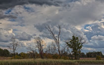 The Flatlands Of The Indiana Dunes von John Bailey