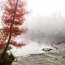 Autumn in Provence by gilles lougassi