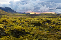 Surreal landscape with wooly moss at sunset in Iceland von creativemarc