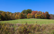 Seasons End by John Bailey