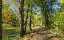 The Ohio And Erie Canalway Towpath by John Bailey