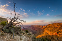 Canyon der Kontraste by Martin Büchler