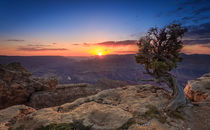 Der Grand Canyon (I) von Martin Büchler