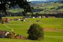 Green fields by Banu Srini