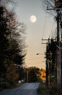 Herbstfärbung - Full-Moon , USA von marie schleich